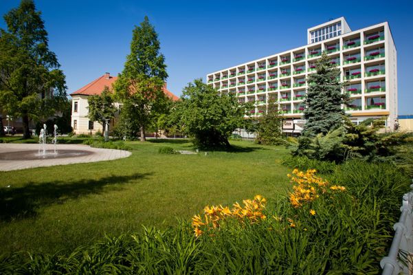 Arany Homok Business und Wellness Hotel, Kecskemét